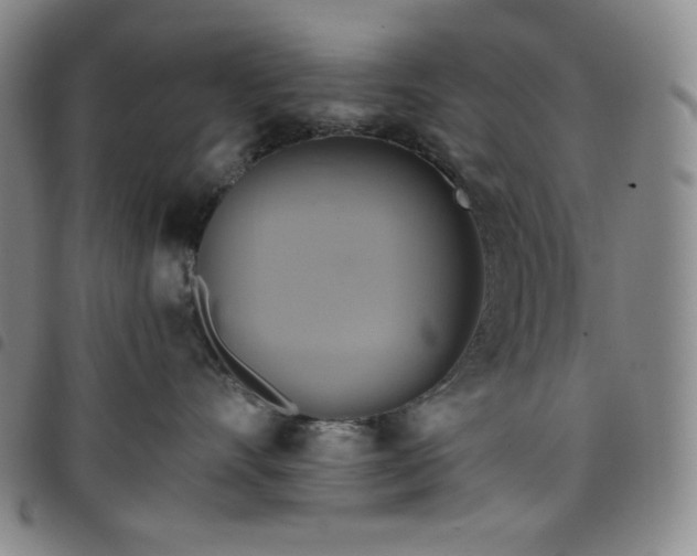 X0000098130528200804241653