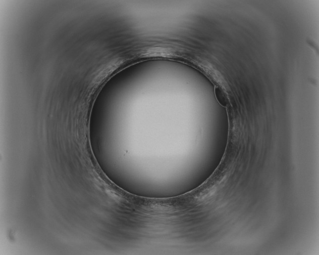 X0000098130529200804241652