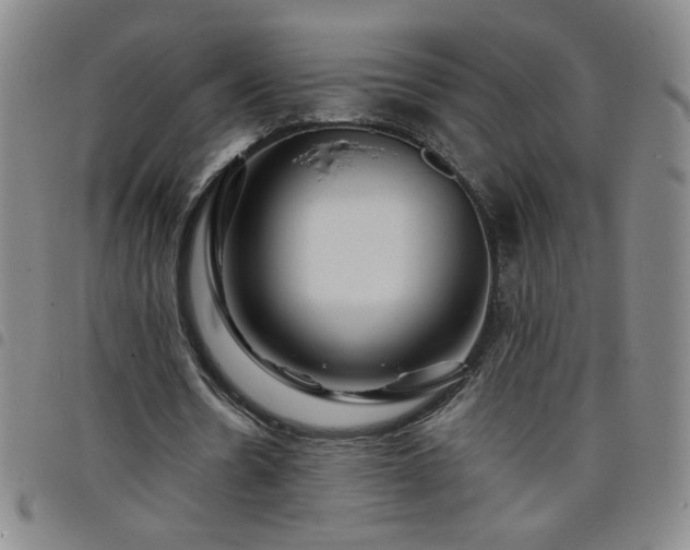 X0000098130530200804241652