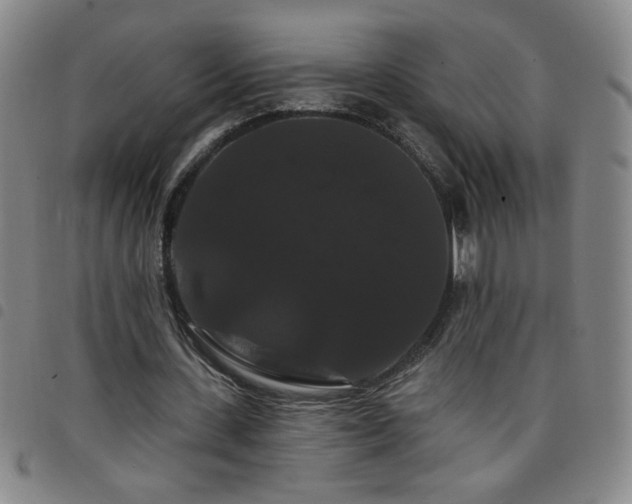 X0000098130531200804241652