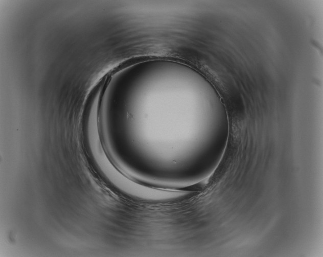 X0000098130532200804241652