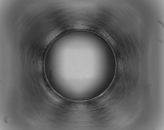 X0000098130533200804241652