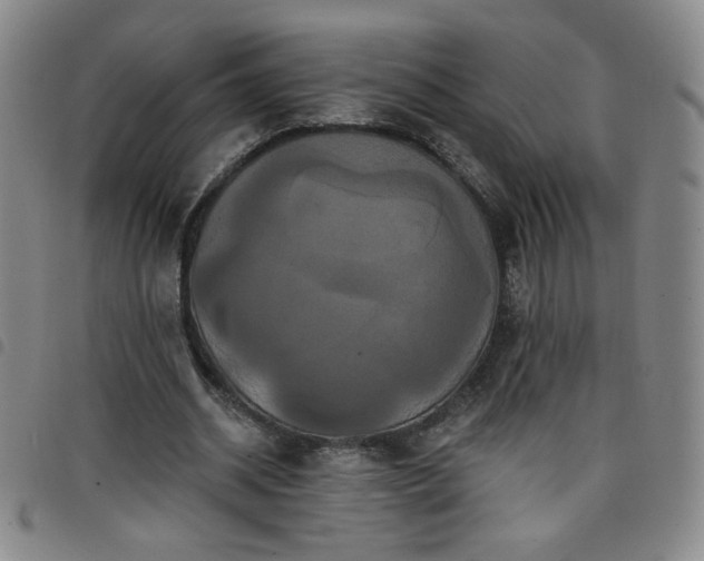 X0000098130534200804241652