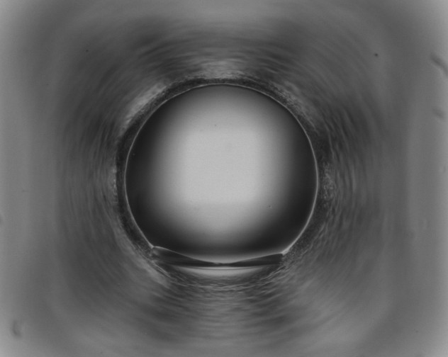 X0000098130535200804241652