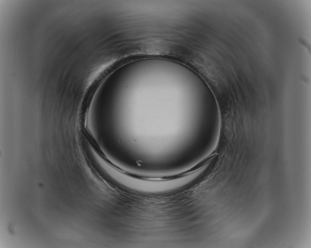 X0000098130536200804241652