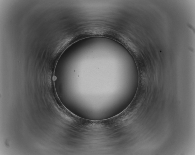 X0000098130537200804241652