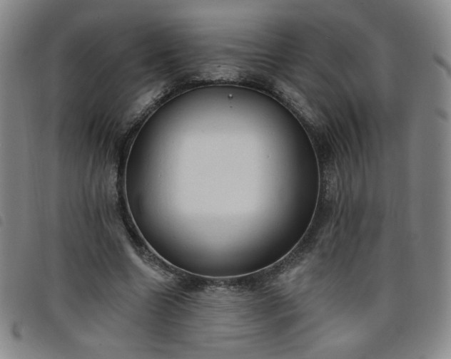 X0000098130538200804241652