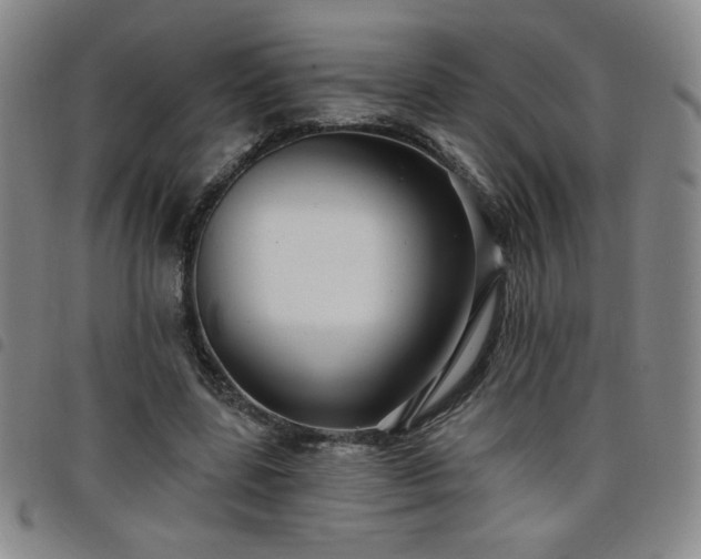X0000098130539200804241652