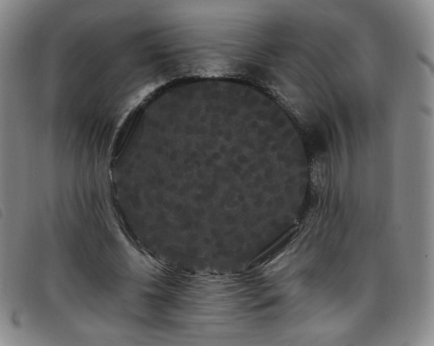 X0000098130540200804241652