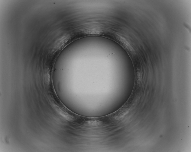 X0000098130541200804241652