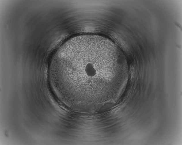 X0000098130542200804241652