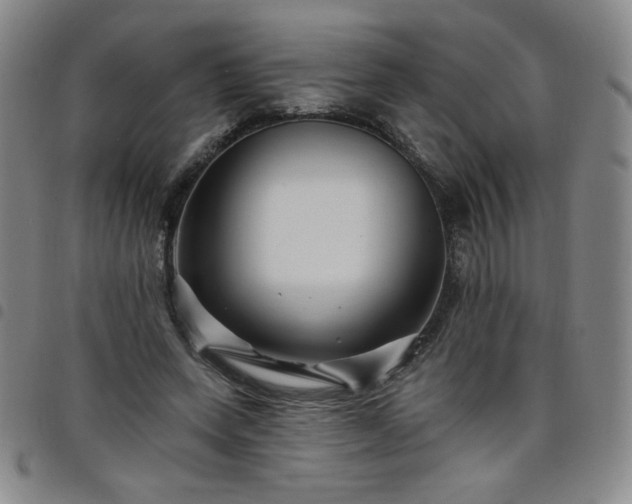 X0000098130543200804241652