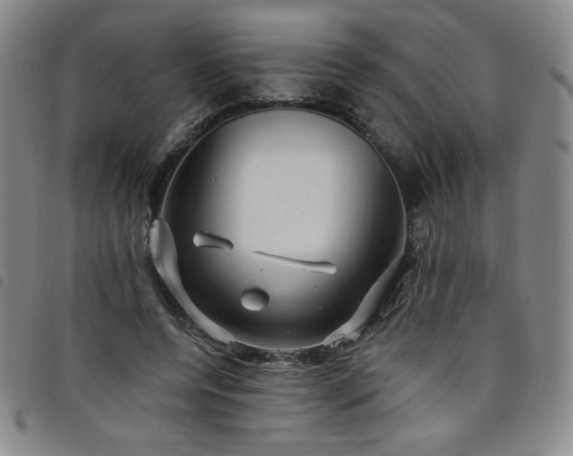 X0000098130544200804241652