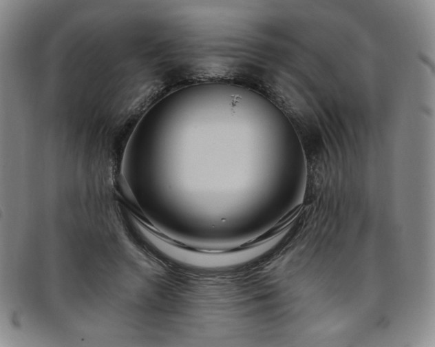 X0000098130546200804241652
