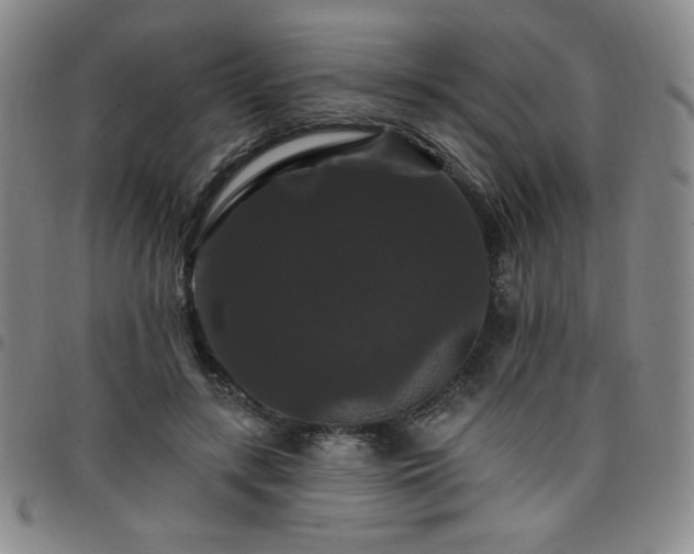 X0000098130547200804241652