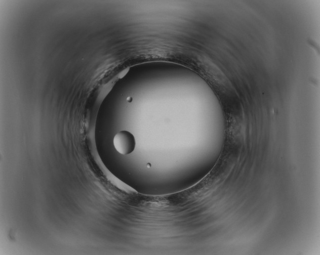 X0000098130548200804241652