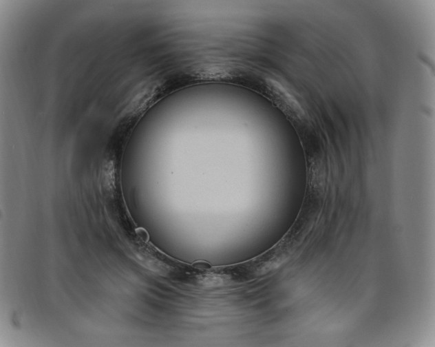 X0000098130549200804241652