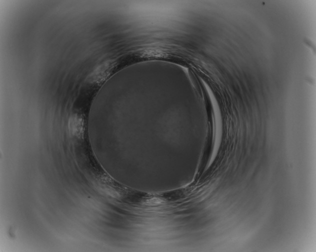 X0000098130551200804241652
