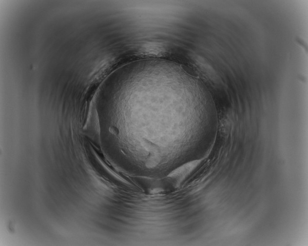 X0000098130552200804241652