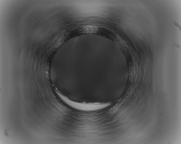 X0000098130553200804241652
