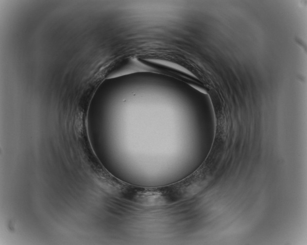 X0000098130554200804241652