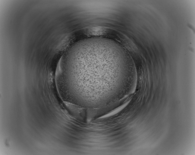 X0000098130555200804241652
