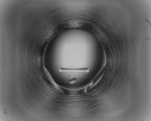 X0000098130556200804241652