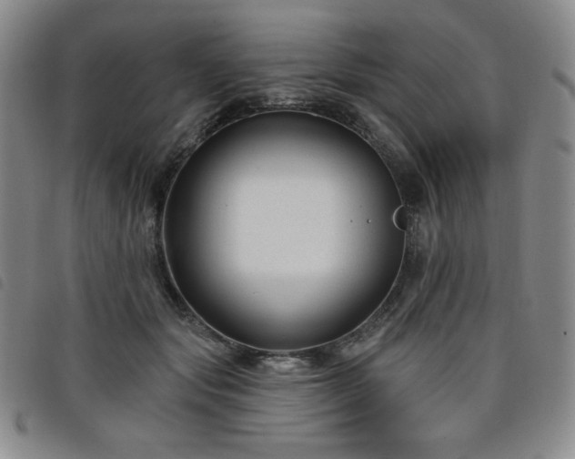 X0000098130557200804241652