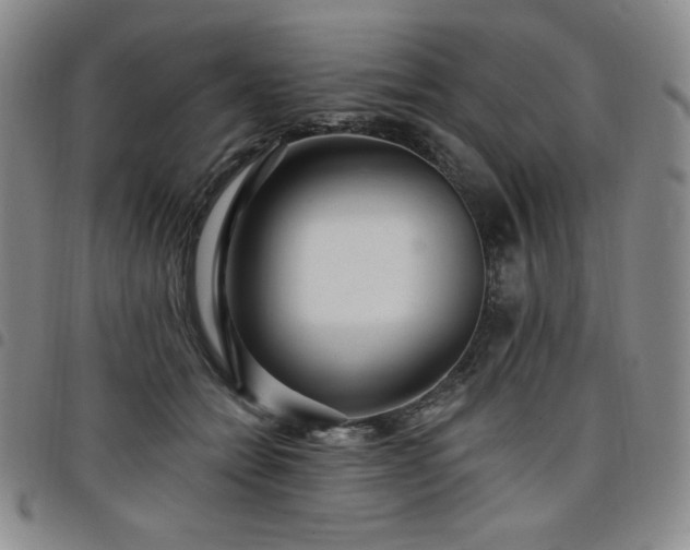 X0000098130558200804241652