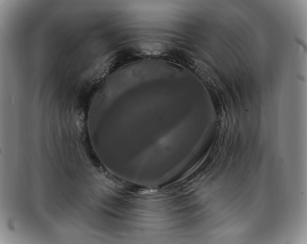X0000098130559200804241652