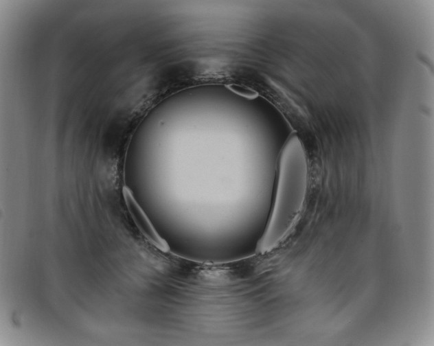 X0000098130560200804241652