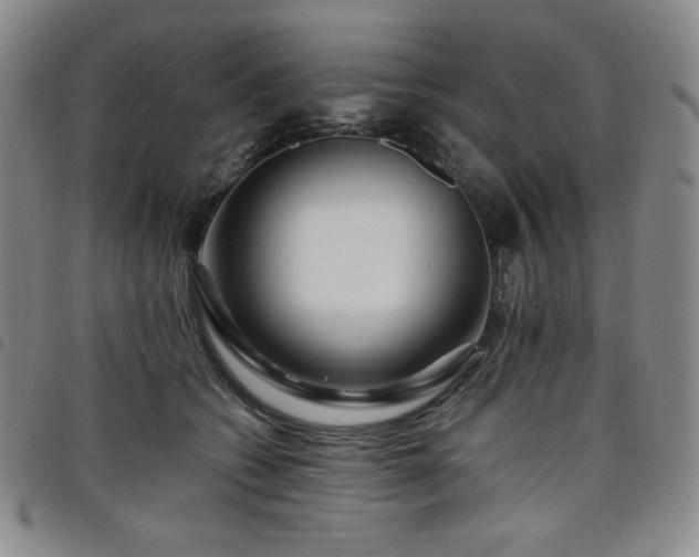 X0000098130562200804241652