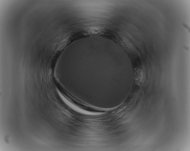 X0000098130563200804241652