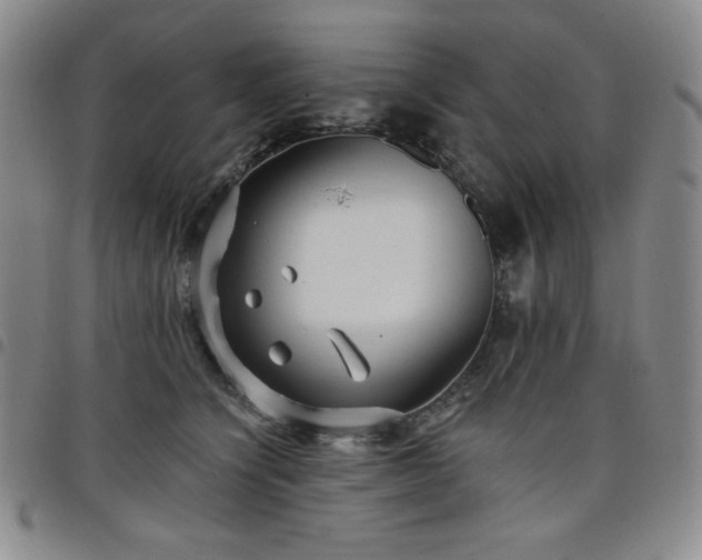 X0000098130564200804241652