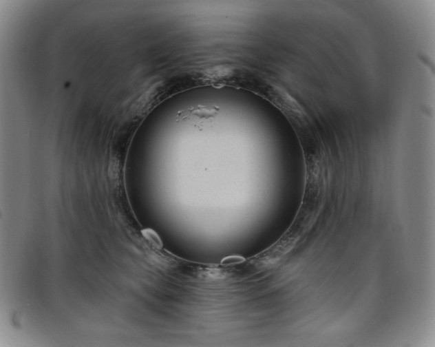 X0000098130565200804241652