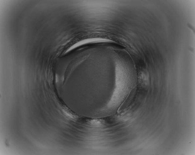 X0000098130566200804241652