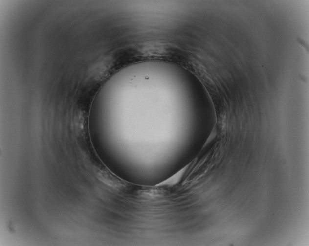 X0000098130567200804241652