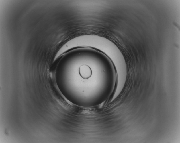 X0000098130568200804241652