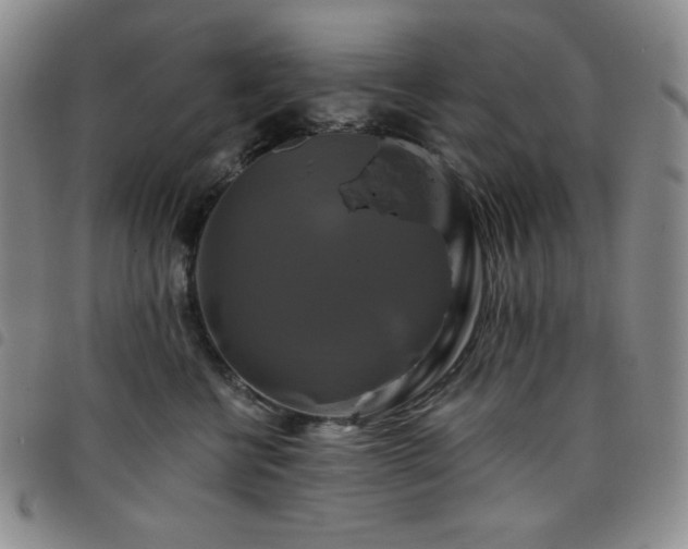 X0000098130570200804241652
