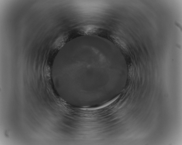 X0000098130571200804241653