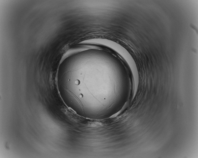 X0000098130572200804241653