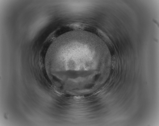 X0000098130573200804241653