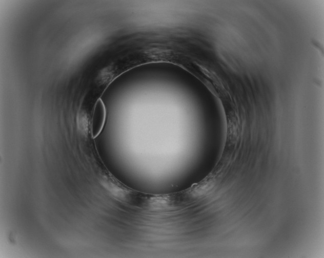 X0000098130574200804241653