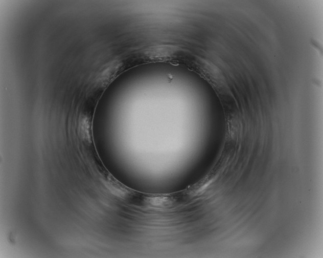 X0000098130575200804241653