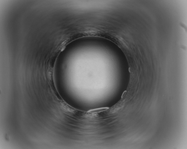 X0000098130576200804241653