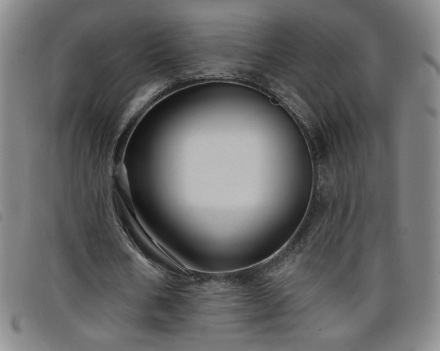 X0000098130578200804241652