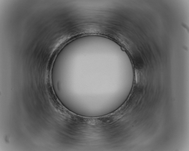 X0000098130579200804241652