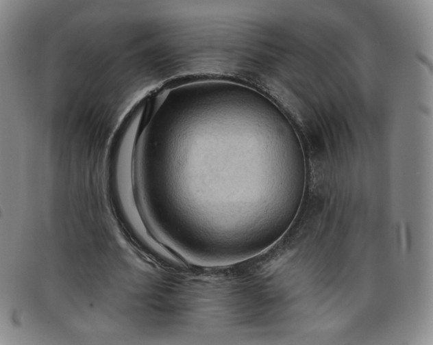 X0000098130580200804241652