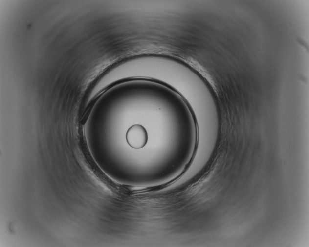 X0000098130581200804241652