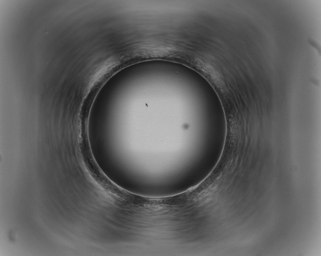 X0000098130582200804241652